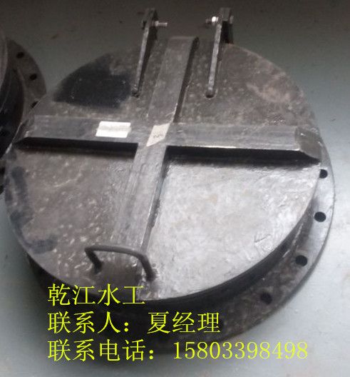 鋼制拍門